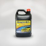 SHAMPOO CAR'S